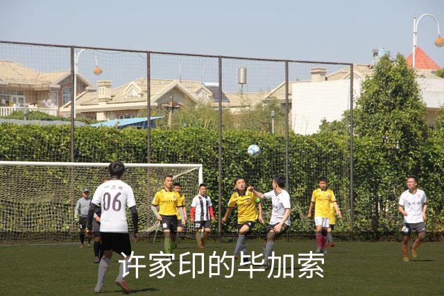 许家印的毕加索